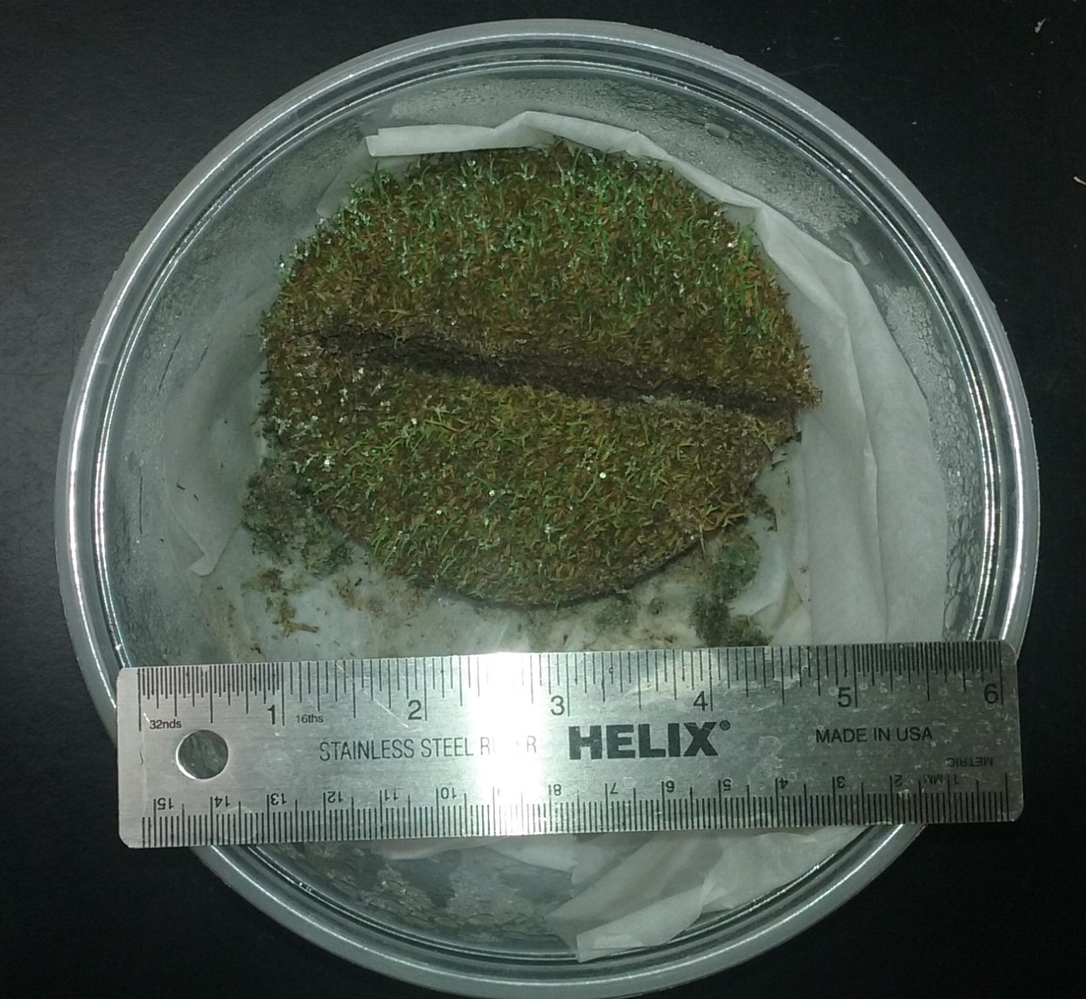 Turf Analysis | Soil, Plant and Pest Center