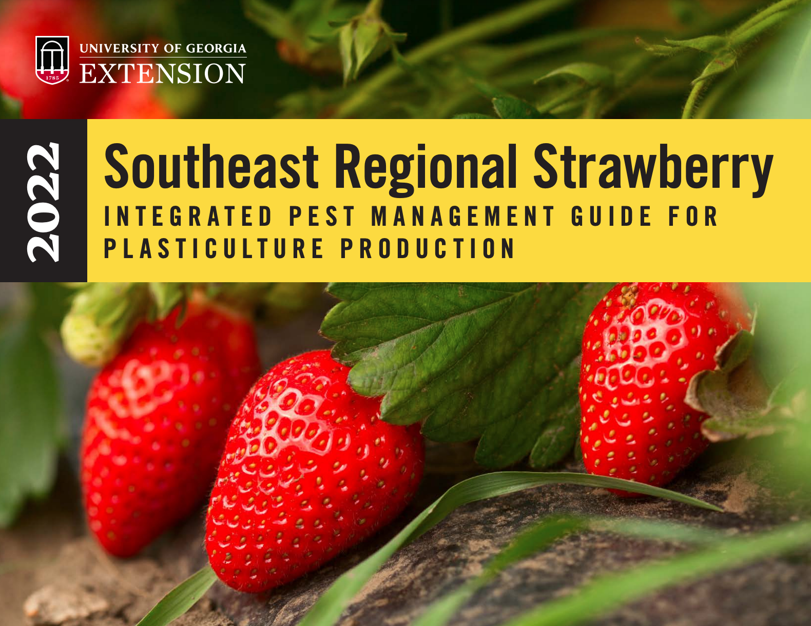 Image of cover of the 2022 southeast regional strawberry plasticulture production guide