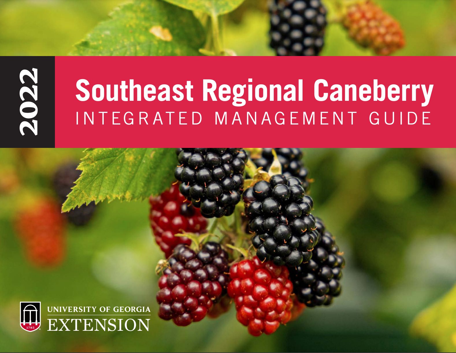 Image of the first page of the 2022 Southeastern regional canberry IPM guide
