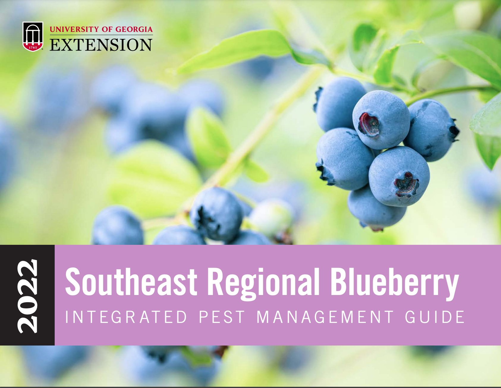 First page of the 2022 southeastern regional blueberry IPM guide
