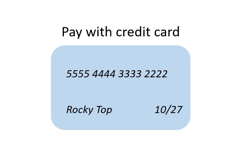 Link to pay with credit card online.