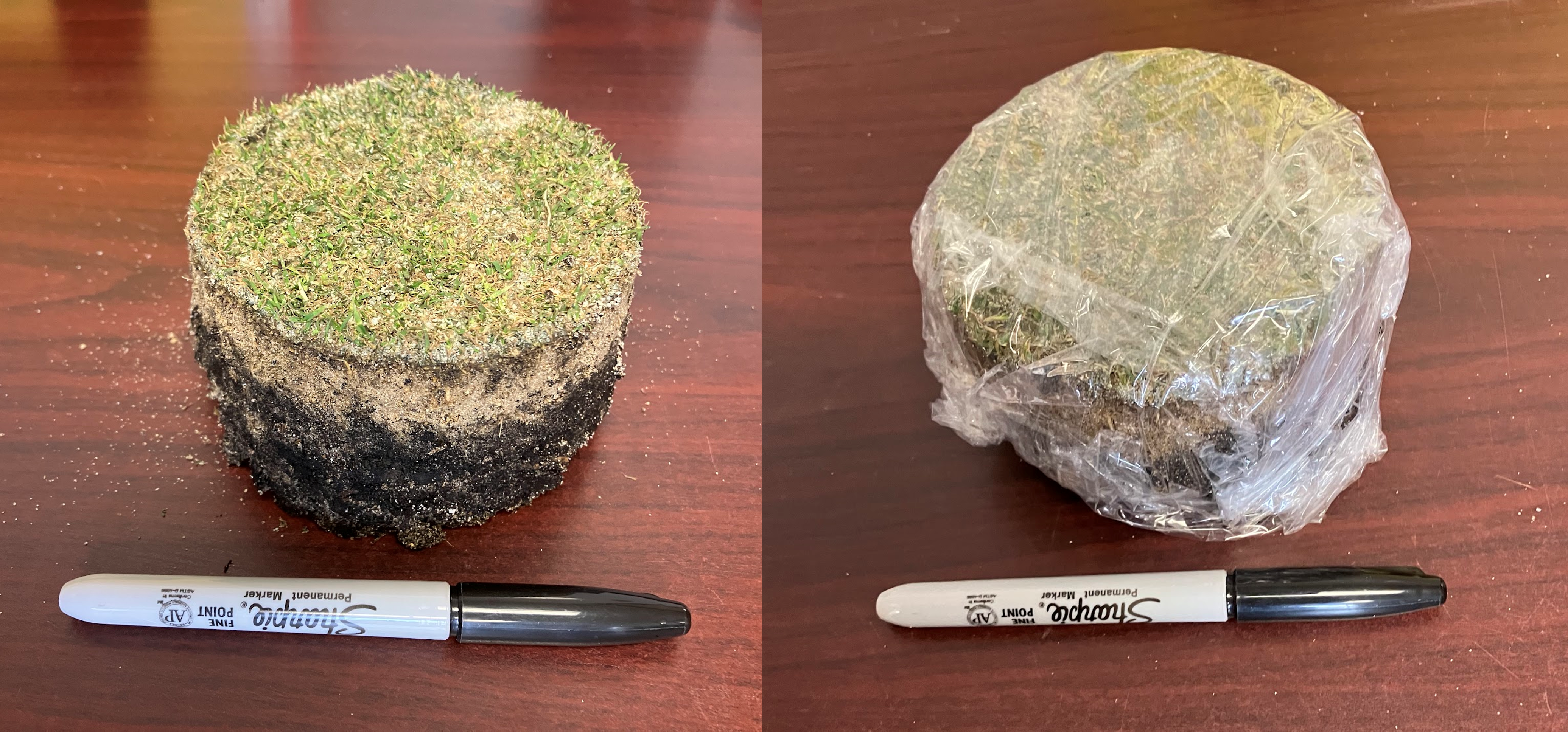 Example of turf sample and how to wrap for shipping. 