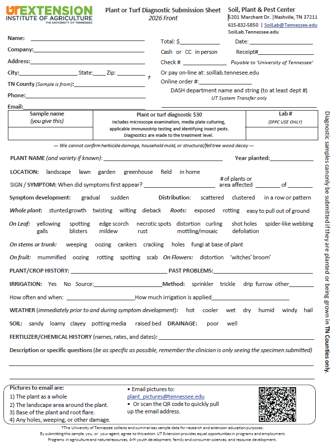 Image of Submission Sheet